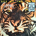 Survivor - Eye Of The Tiger Adriano Remix