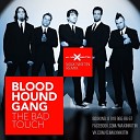 Bloodhound Gang - The Bad Touch Eiffel 65 Remix Radio Edit