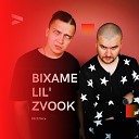 Bixame Lil Zvook - Веселись