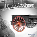 Trio Los Arrallanes - El Huasteco