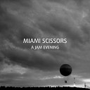 Miami Scissors - Торги Sunny Baby