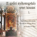Gy ri Filharmonikus Zenekar Katona Tibor - Symphony in G Major in G Major W 18 II…