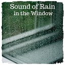 Nature Sounds to Relax - Sound of Rain in the Window Pt 12