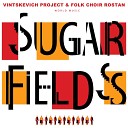 Vintskevich Project and Folk Choir Rostan - Follow the Sun