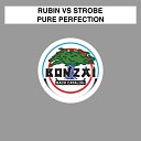 Rubin vs Strobe - Pure Perfection Original Mix