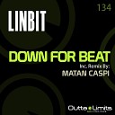 LinBit - Down For Beat Original Mix