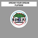 Dream Your Dream - Kamikaze