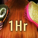 ASMR Art of Sound - ASMR Hair Brushing NO TALKING Pt 2