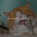 Jazz Music for Cats Music for Cats Deluxe Cat… - Wellbeing