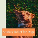 Soothing Music for Dogs - Peace and Tranquillity