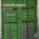 Lofi Sleep - Con Pasiecias