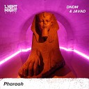 JAVAD DNDM - Pharaoh