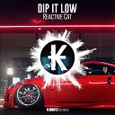 Reactive Cat - Dip It Low