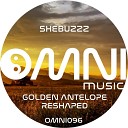 Shebuzzz - Shore of a Lonely Dream Enjoy Remix