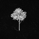 Tree of Lofi Oak Wood Lofi The Bonsai - Lianna Two