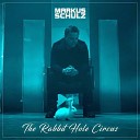 Markus Schulz Shaun Jacobs - Guide Me Original Mix