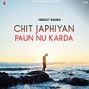 Amarjit Nagina feat Beeba Param Brar - Dil Dhar Ve Mithya