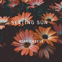Rianu Keevs - Setting sun