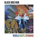 Black Bird Hum - World Keeps Spinning