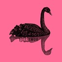 Pink Swan - It Was Never Quite Night