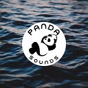 Panda Sounds Calm Sea Sounds Sea Waves Sounds - Waves Crashing on the Shore Pt 77