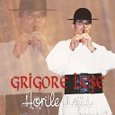 Grigore Lese - La portita mandrii mele