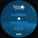 Cosmic Garden - On My Mind Rhythm Of Paradise Mix