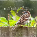 Sebastian Riegl - Homely Birdsong Garden Ambience Pt 16
