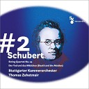 Stuttgarter Kammerorchester Thomas Zehetmair - III Scherzo Allegro Molto Trio