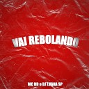 DJ Luana SP MC Rd - Vai Rebolando