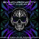 Synchronicity - Ancient Aliens