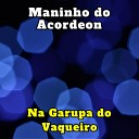 Maninho do Acordeon - Vaqueiro S Presta Se Ele For Solteiro Cover