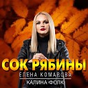Елена Комарова Калина… - Сок рябины