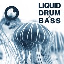 Dreazz - Liquid Drum Bass Sessions 2020 Vol 33