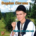 Bogdan Cioranu - Sun codru i r sun