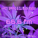 HAZY SPRING feat DJ BlockStation - MY FRIEND LOVES THIS VARIETY