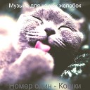 Музыка для кошек желобок - Атмосфера Кошки