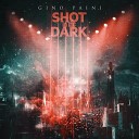 Gino Paini - Shot In The Dark Instrumental