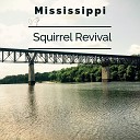 Heaven is Shining - Mississippi Squirrel Revival