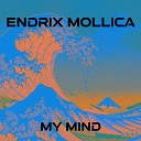 Endrix Mollica - My Mind Radio Edit