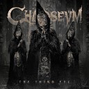 Chaoseum - Sanctum Cinerem