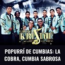 Grupo Kristal de Lino Villareal - Popurr de Cumbias La Cobra Cumbia Sabrosa