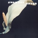 Swan Lee - When You Are Gone
