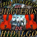 Trio Huasteco Los Jilgueros De Hidalgo - El Gusto