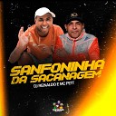 Dj Reinaldo MC Pett Tenebrosos dos Bailes - Sanfoninha da Sacanagem