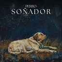 Sonidos Relajantes para Perros - Dream Designed Reality