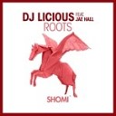 DJ Licious feat Jae Hall - Roots Extended Mix