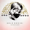 Dele Sosimi - Sanctuary 7 Instrumental