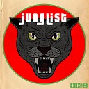 BC 9 - 808 Jungle