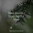 Studying Music Ambient Forest Meditation Relaxation… - Mystic Quest